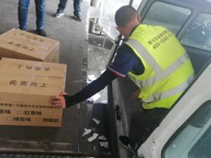 航空快递宠物运输有哪些注意事项-四川航空快递