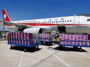成都航空快递宠物托运注意事项-四川航空快递